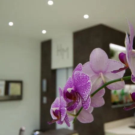 Hotell Myosotis