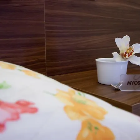 Myosotis Hotel 2*