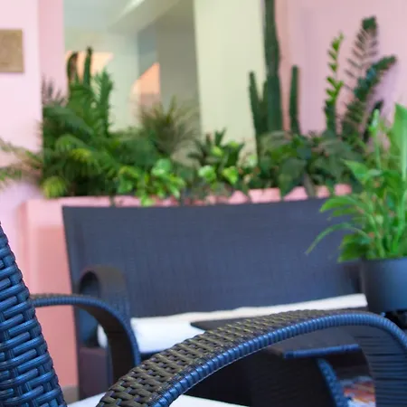 Hotell Myosotis
