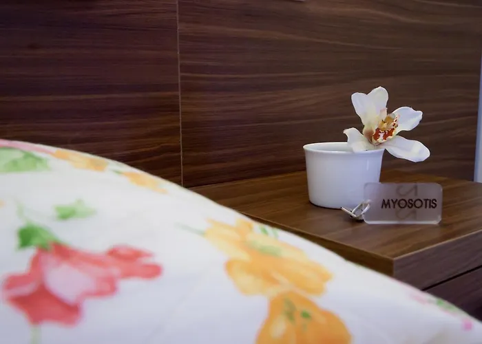 Myosotis Hotel 2*
