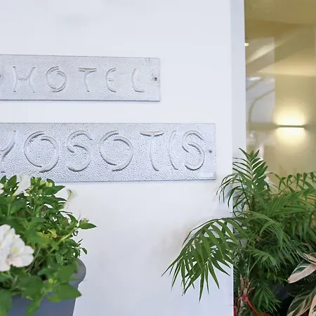 Hotel Myosotis 2*