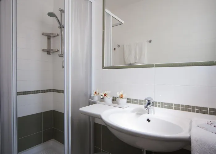 Myosotis ריצ'יונה