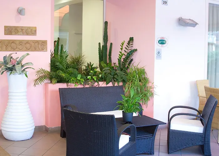 Myosotis 2* ריצ'יונה