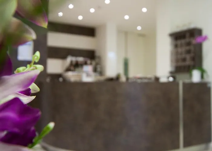 Myosotis מלון ריצ'יונה