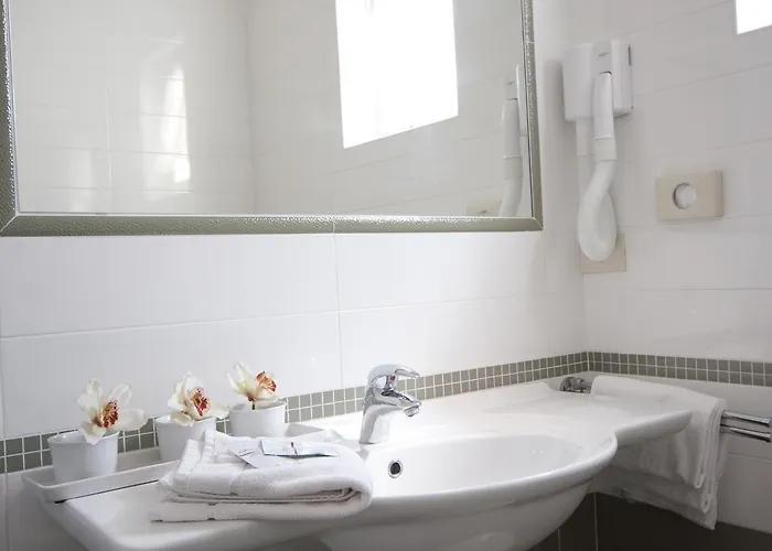 Myosotis מלון 2*